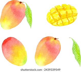 Ilustración vectorial de conjunto de mango pintado por acuarela