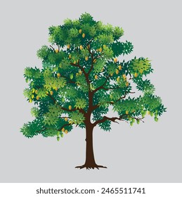 Vector illustration of a mango tree bearing fruit in season.