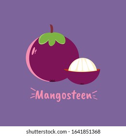 Vector illustration of mangosteen flat icon