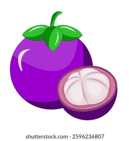 vector illustration of mangosteen fruit, mangosteen fruit slices, white background