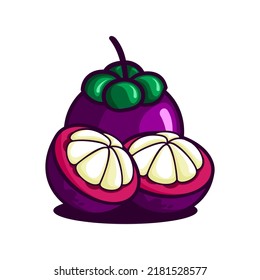 vector illustration of mangosteen fruit, mangosteen split vector