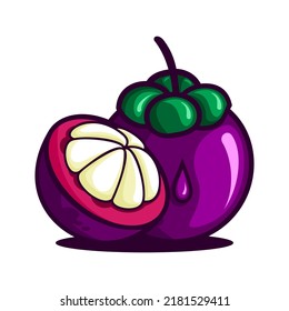vector illustration of mangosteen fruit, mangosteen split vector