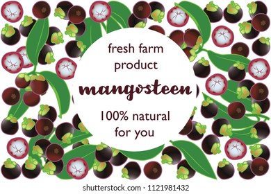 vector illustration of mangosteen and leaf design with lettering mangosteen background white and fruit and text fresh farm product 100% natural for you EPS10