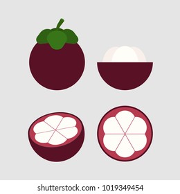 vector illustration of mangosteen set isolated on background