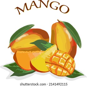 Vector illustration with mango.Whole and cut mangoes on a transparent background in color vector illustration.