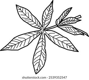 vector illustration of Manihot esculenta leaves in Doodle style. Leaf doodles drawn by hand on white background. Simple vector