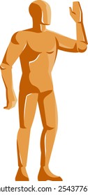 vector illustration of a mannequin male human anatomy  figure standing done in retro style on isolated white background.