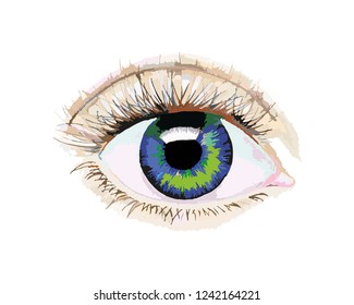 Vector illustration of a man's eye. Detailed drawing of the structure of the human eye. Drawing an eye that looks at you. For decoration and stylish decoration. Piercing look.