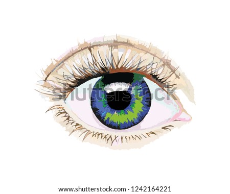 Vector Illustration Mans Eye Detailed Drawing Stock Vector (Royalty