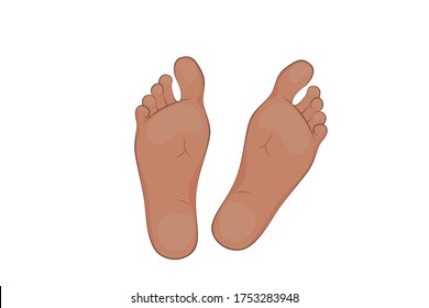 Vector illustration of a mans feet.  sole, body part.