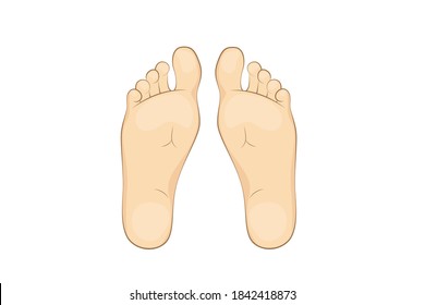 Vector illustration of a mans soles. feet, sole, body part.