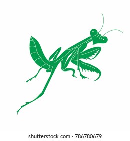 vector illustration of a mantis being posed