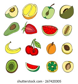 Vector illustration of many fruits, doodle style