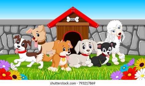 vector illustration of many pet dogs in the park