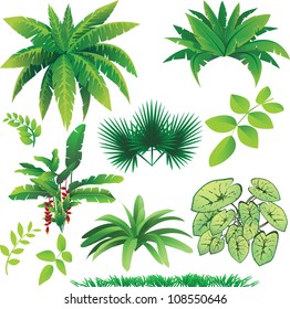 vector illustration of many plants, great collection for nature design