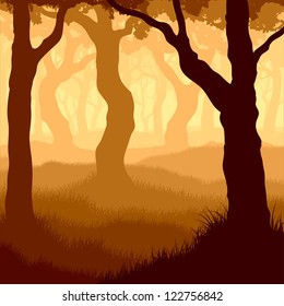 Vector illustration of many tree trunks within forest with grass and sunshine.