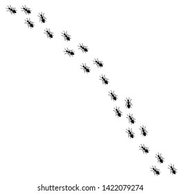 Vector illustration of many worker ants marching in a line. Black ants silhouette isolated on white background