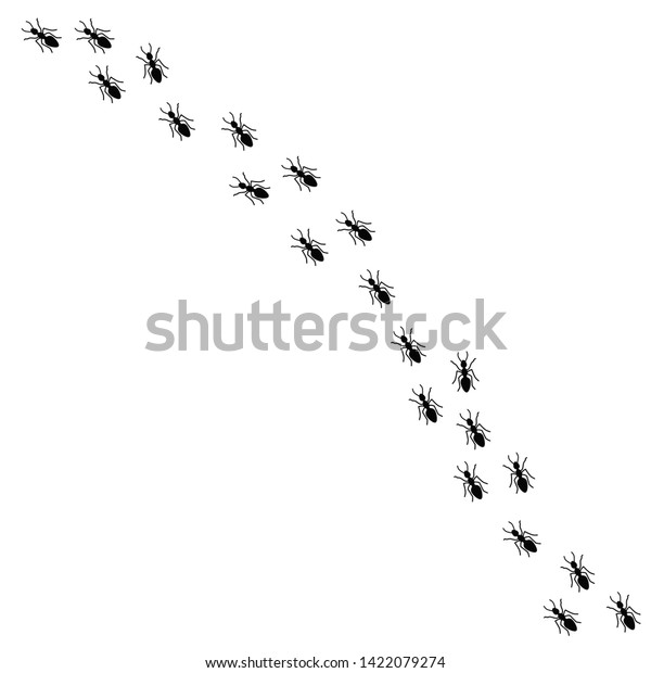 列に並んで行進する多くの働きアリのベクターイラスト 白い背景に黒いアリのシルエット のベクター画像素材 ロイヤリティフリー 1422079274