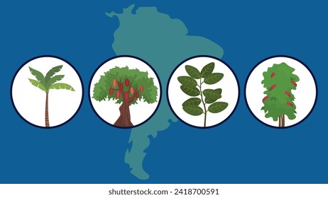 Vector illustration of a map of Brazil with trees, map of South America