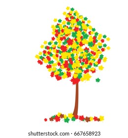 Vector illustration with maple in autumn.  Banner or poster for design in autumn style.