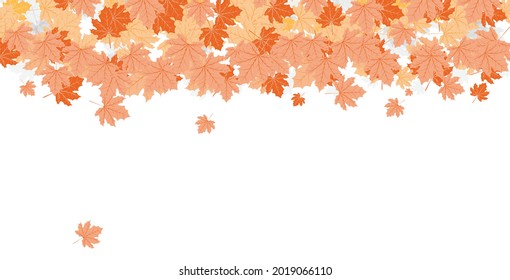 Vector illustration maple leaf in autumn with red, yellow and orange on white background.