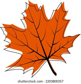 Vector Illustration Maple Leaf Autumn Illustration Stock Vector ...