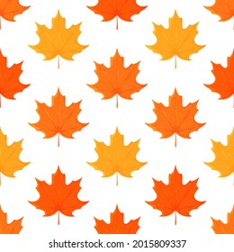 Vector illustration of maple leaf pattern. Endless pattern of colorful leaves.