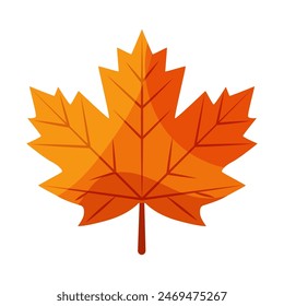 Vector illustration with maple leaf. Symbol of Canada. Canada Day.