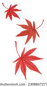 Vector illustration of a maple leaf turning red and falling