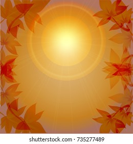 Vector and illustration maple leaves abstract background with sunlight orange background for autumn and fall season, thanksgiving theme