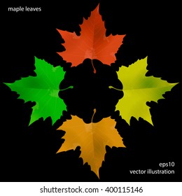 Vector illustration of maple leaves in four colors. Natural vector background.