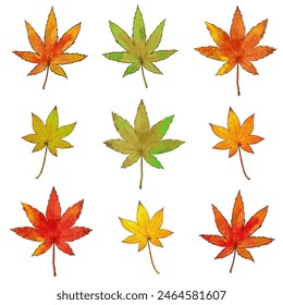 Vector illustration of maple leaves in watercolor style  with main line