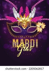 Vector illustration of mardi gras brazil festival with creative mask 