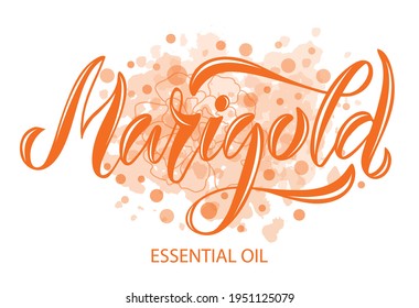 Ilustración vectorial del texto de Aceite Esencial de Marigold para logotipo, embalaje, banner, etiqueta, afiche, decoración, postal. Fondo de la caligrafía del aceite esencial de Marigold. EPS 10.