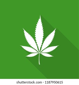 Vector illustration of marijuana leaf, cannabis. Isolate on green background