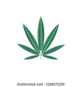 Vector illustration of marijuana leaf, cannabis. Isolate on white background