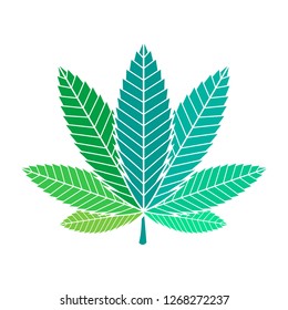 Vector illustration of marijuana leaf, cannabis. Isolate on white background