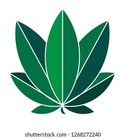 Vector illustration of marijuana leaf, cannabis. Isolate on white background