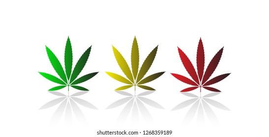 Vector illustration of marijuana leaf, cannabis. Isolate on white background