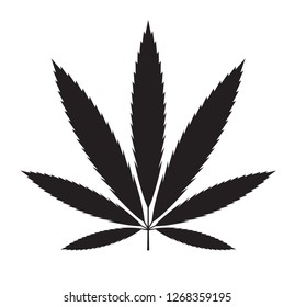 Vector illustration of marijuana leaf, cannabis. Isolate on white background