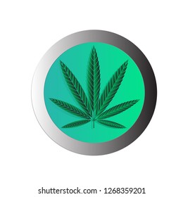 Vector illustration of marijuana leaf, cannabis. Isolate on white background
