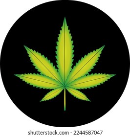 Ilustración vectorial de la hoja de marihuana, planta de cannabis utilizada con fines medicinales