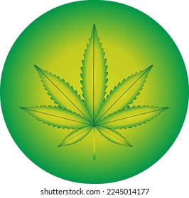 Ilustración vectorial de la hoja de marihuana, planta de cannabis utilizada con fines medicinales