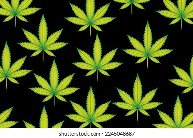 Vector illustration of marijuana leaf, cannabis plant used for medicinal purposes