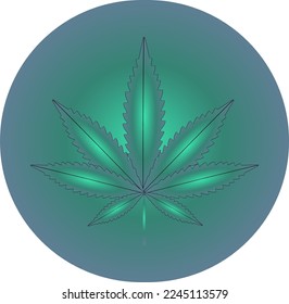 Vector illustration of marijuana leaf, cannabis plant used for medicinal purposes