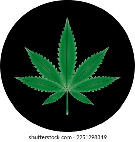 Ilustración vectorial de la hoja de marihuana, planta de cannabis utilizada con fines medicinales