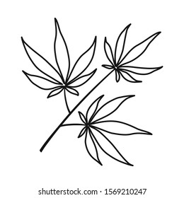 Vector illustration of marijuana and leaf symbol. Graphic of marijuana and vegetation vector icon for stock.