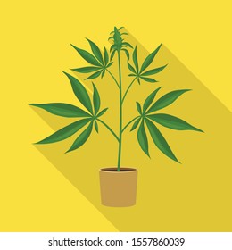 Vector illustration of marijuana and pot logo. Graphic of marijuana and hemp stock symbol for web.