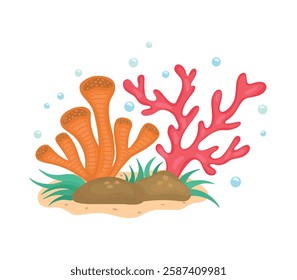 Vector illustration of marine corals. Drawings for design, banners, books, marine and travel magazines. Stock illustration.