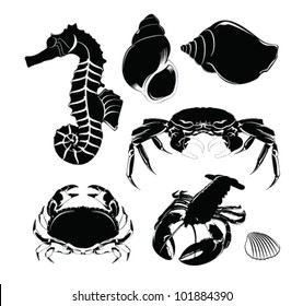 Vector Illustration: Marine life